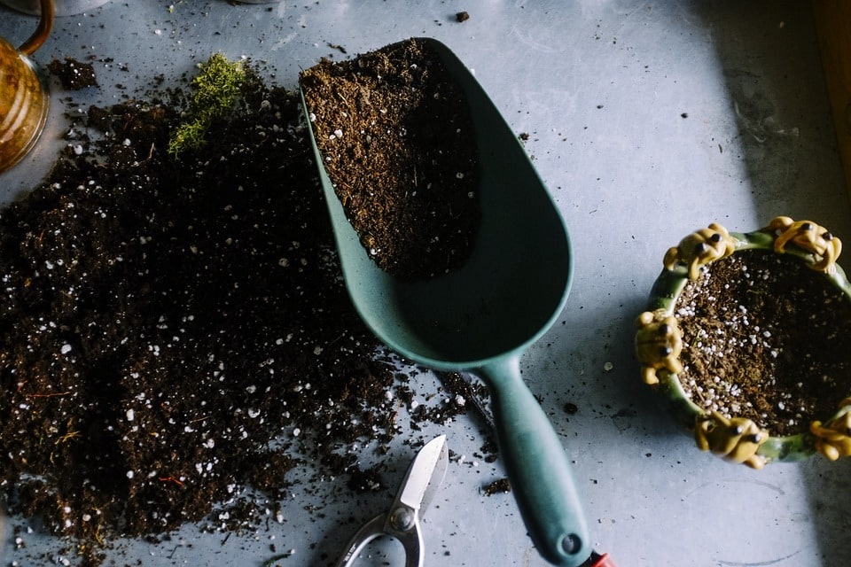 Initier ses enfants au jardinage