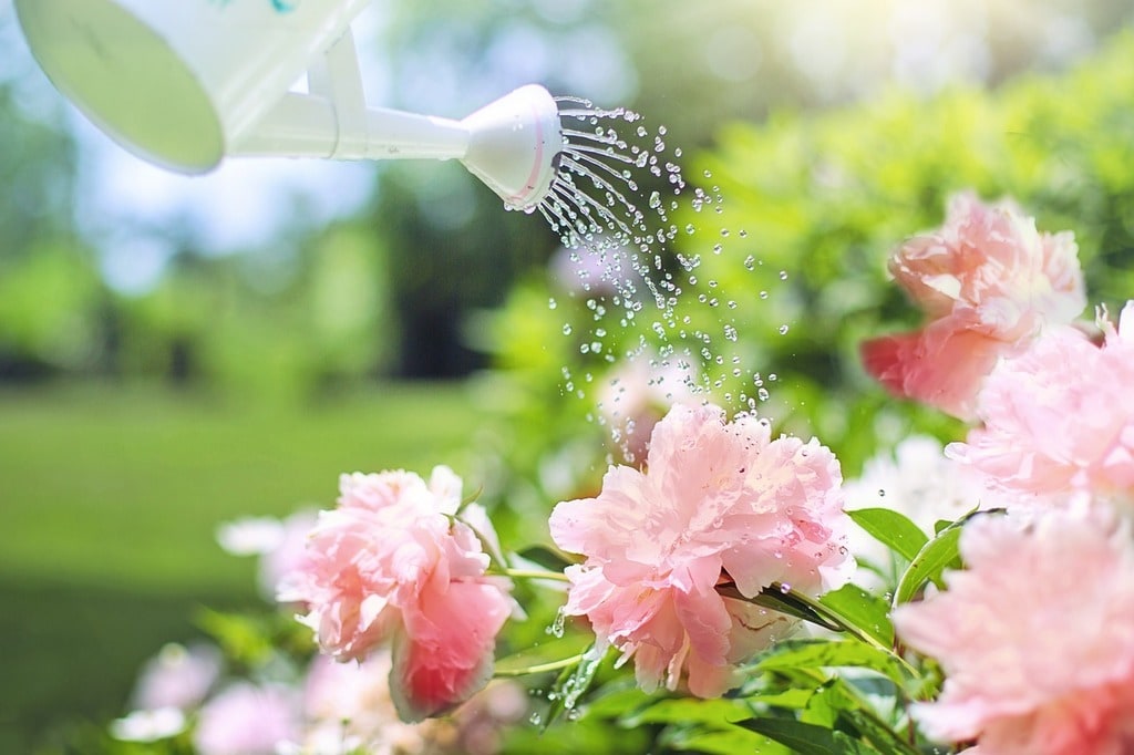 Initier ses enfants au jardinage